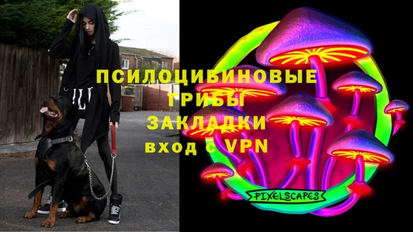 не бодяженный Карпинск