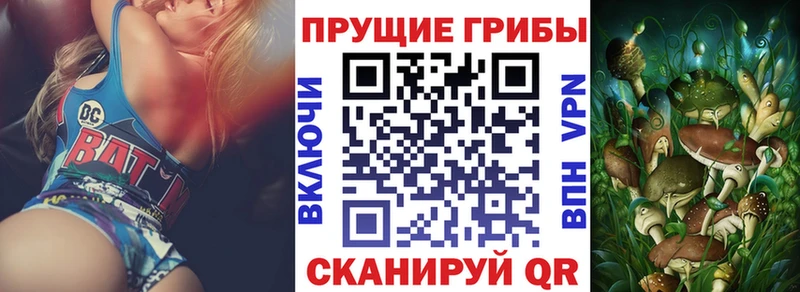 Купить закладки  Зерноград  Псилоцибиновые грибы мухоморы 