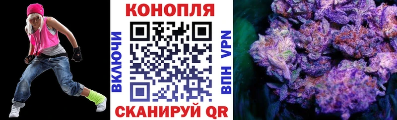 Купить где  Зерноград  Бошки марихуана Amnesia 